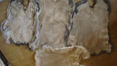 Dressing piei de iepure la domiciliu Dressing piei de iepure la domiciliu