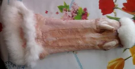 Dressing piei de iepure la domiciliu