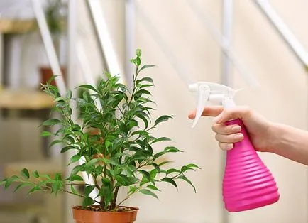 Cum sa scapi de acarian pe plante