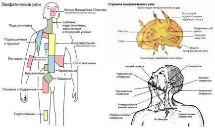 nodul limfatic inflamată decât vindecarea nodul limfatic inflamată decât vindecarea
