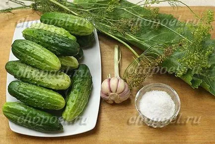 sare castraveți Sare