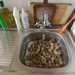 Cum de a găti melci de struguri