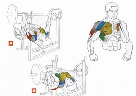 Cum de a elimina grasimea mușchiul pectoral