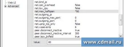 10 Modalitati de a accelera client de torrent