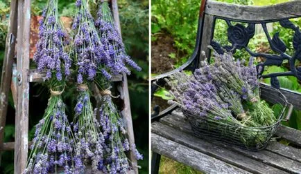 25 de idei confortabile, care vor face îmbunătățiri teren agricol magic, casa frumoasa si gradina (amenajare a teritoriului) 25 de idei confortabile, care vor face îmbunătățiri teren agricol magic, casa frumoasă și grădină