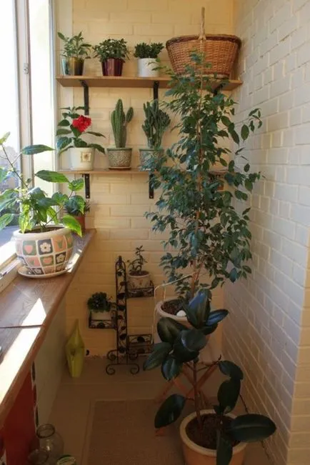 7 idei de design interior frumos balcon, doamnă Fairy