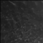 Acid ascorbic în fiole pentru păr