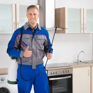 Puricii în apartament, unde și cum să scape de propria lor (în mod independent) Puricii în apartament unde și cum să scape de propria lor