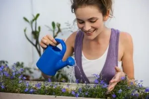 De bază doamnelor plan de muște pe săptămână instrucțiuni pas cu pas, familia și mama (zbura în sus) De bază doamnelor plan de muște pe săptămână instrucțiuni pas cu pas, familia și mama