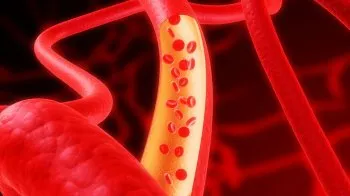 Analiza biochimică a sângelui - un studiu complet al unui organism (permite) Analiza biochimică a sângelui - un studiu complet al unui organism