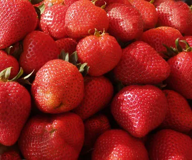 Afaceri pentru cultivarea căpșuni la domiciliu modul de a face bani pe boabe cu costuri minime (în creștere căpșuni plan de afaceri de afaceri de origine) Afaceri în creștere căpșuni la domiciliu modul de a face bani pe boabe cu costuri minime