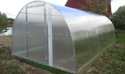 Afaceri în cultivarea căpșunilor pe tot parcursul anului (iulie 2017)