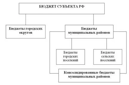 sistemul bugetar