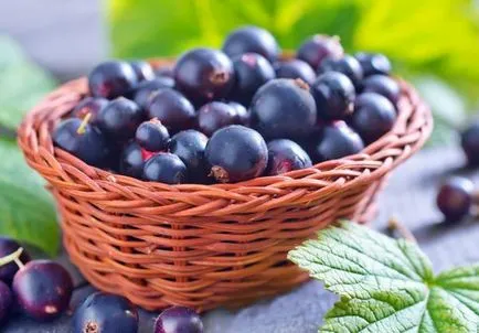 secrete de cultivare coacăz negru (cultivare) secrete de cultivare negru coacaza