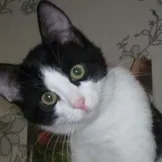 Ce să ia cu el la fel de casa Ce să ia cu el la fel de casa