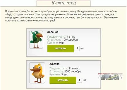 Ce este în interiorul vaginului unei femei (feminin) Ce este în interiorul vaginului unei femei