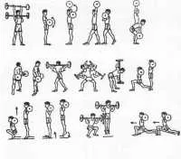 Cum de a construi musculare la domiciliu Cum de a construi musculare la domiciliu
