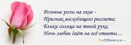 Ce sunt trandafiri roz