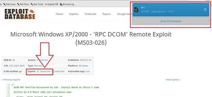 Ce este un exploit de unde se descarcă exploata și cum funcționează