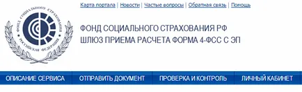 Care este poarta de trimiterea documentului FSS și cum să-l folosească