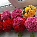 Flori din servetele face cu mâinile, pas cu pas fotografii (mâini) Florile din servetele fac cu mâinile, pas cu pas fotografie