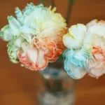 Flori din servetele face cu mâinile, pas cu pas fotografii (flori) Florile din servetele fac cu mâinile, pas cu pas fotografie