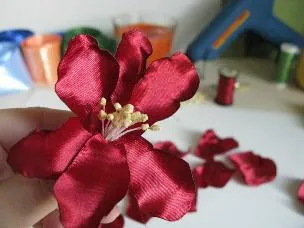 Flori de benzi cu propriile lor mâini (Marea de cursuri de master) - lumea de sex feminin (bandă) Flori de benzi cu propriile mâini (de mare de cursuri de master) - Lumea Femeilor