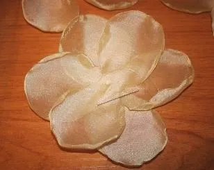Flori de benzi cu propriile lor mâini (Marea de cursuri de master) - lumea de sex feminin (foarfece) Flori de benzi cu propriile mâini (de mare de cursuri de master) - Lumea Femeilor