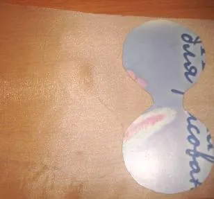 Flori de benzi cu propriile lor mâini (Marea de cursuri de master) - lumea de sex feminin (bandă) Flori de benzi cu propriile mâini (de mare de cursuri de master) - Lumea Femeilor