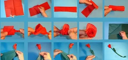 Flori din servetele face cu mâinile, pas cu pas fotografii (flori) Florile din servetele fac cu mâinile, pas cu pas fotografie