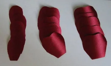 Flori de benzi cu propriile lor mâini (Marea de cursuri de master) - lumea de sex feminin (bandă) Flori de benzi cu propriile mâini (de mare de cursuri de master) - Lumea Femeilor