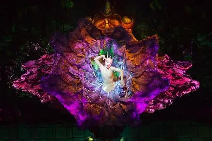 Cirque du Soleil arată cele mai spectaculoase din istoria circ, știri fotografie