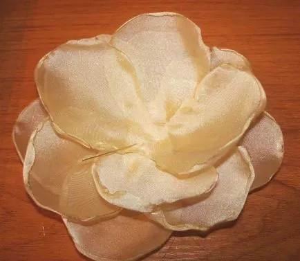 Flori de benzi cu propriile lor mâini (Marea de cursuri de master) - lumea de sex feminin (bandă) Flori de benzi cu propriile mâini (de mare de cursuri de master) - Lumea Femeilor