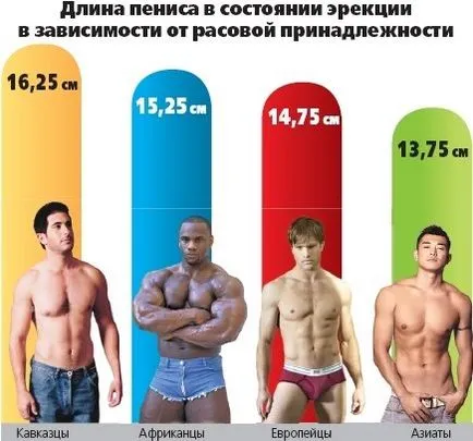 dimensiunea penisului Sredniy și rata de deformare (normal) marimea penisului Sredniy este norma și abaterea