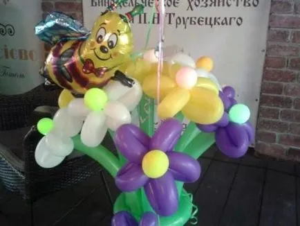 Zi de naștere, aniversare, ziua de nastere baloane, ce să dea pentru o zi de naștere, lumina zilei (bile) Zi de naștere, aniversare, ziua de nastere baloane, ce să dea pentru o zi de naștere, lumina zilei