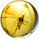 pietre negru