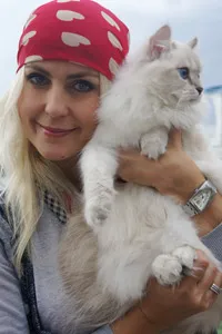 Bine ati venit pe site-ul - pepiniera siberian (Neva Masquerade) pisici rege-pisica (Siberia) Bine ati venit pe site-ul - pepiniera siberian (Neva Masquerade) pisici rege pisică