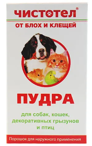 Pet purici și cum să scape de ele