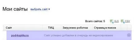 Adăugați site-ul Yandex webmaster, ghid pas cu pas pe internet, cu exemple pentru incepatori