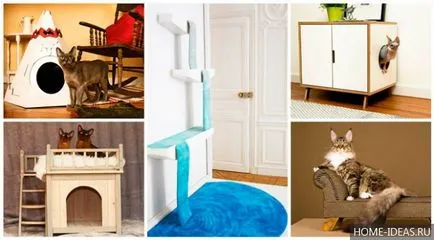 casă mică pentru o pisica cu mâinile sale desene dimensionale, atelier video de