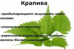 remedii populare eficiente pentru păr cărunt (mijloace) remedii populare eficiente pentru părul gri