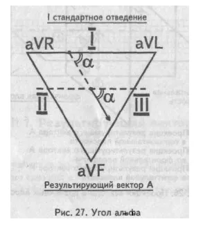 Poziția schematică axa și inima electrice (inima) Axa electrică și poziția inimii electrice