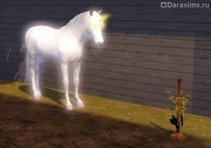 Unicorni în casă 3 sim
