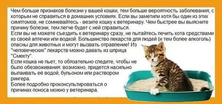 În cazul în care o pisica are diaree, ce să facă - ceea ce pentru a trata și cum, în al șaptelea cer