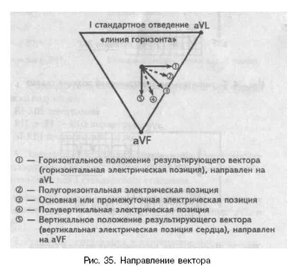 Axa electrice cardiace electrice și poziția (poziția inimii electrice) Axa electrică și poziția inimii electrice