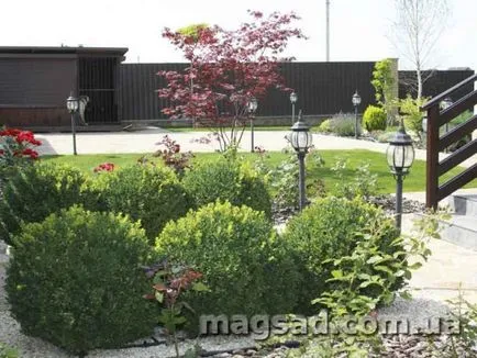 Fotografie - Landscape Design