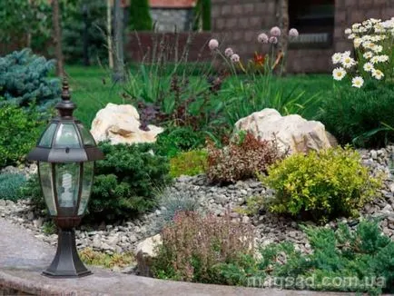 Fotografie - Landscape Design