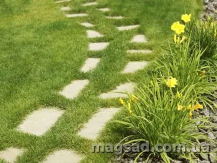 Fotografie - Landscape Design