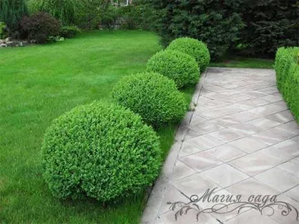 Fotografie - Landscape Design