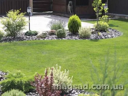 Fotografie - Landscape Design